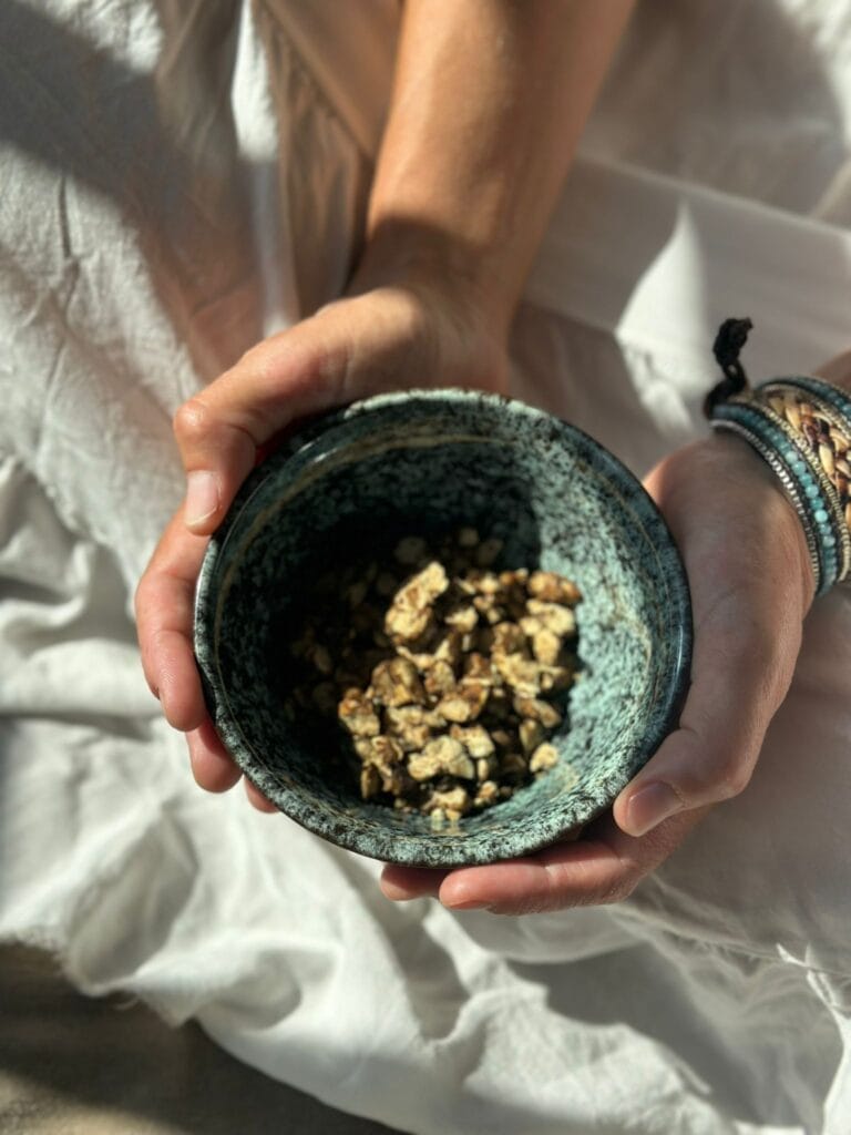 A bowl of psilocybin truffles