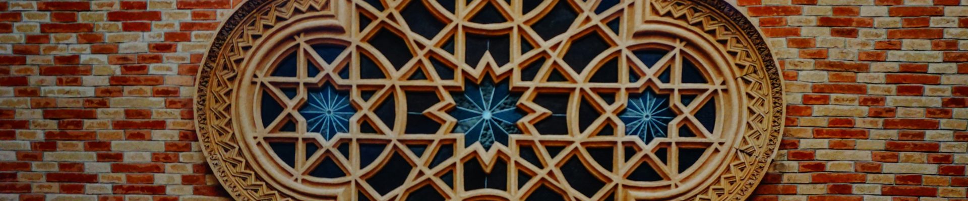 dimitar belchev dxmjah1hfo0 unsplash